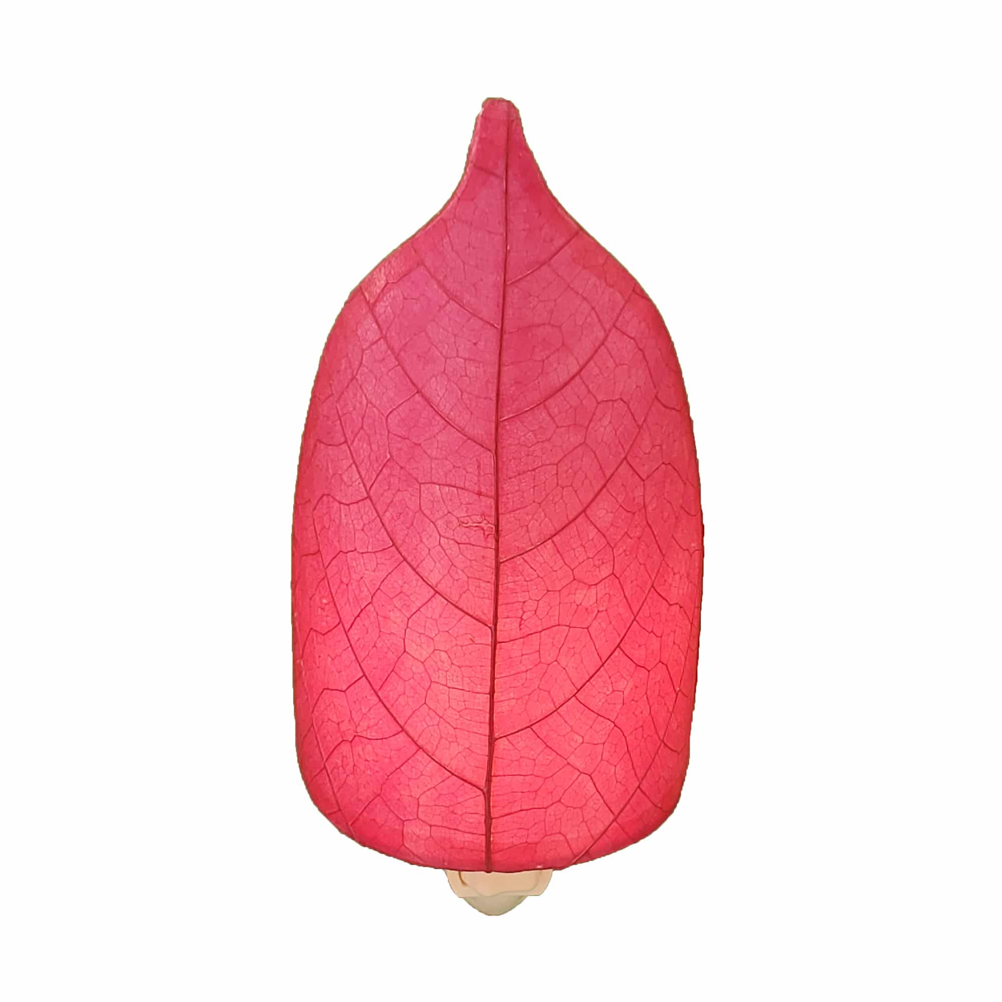 Crafted by the artisans of Eangee Home Design, the Leaf Nightlight in pink against a clean backdrop, featuring fossilized cocoa leaf shade, eco friendly, handcrafted.