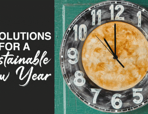 Resolutions for a Sustainable New Year