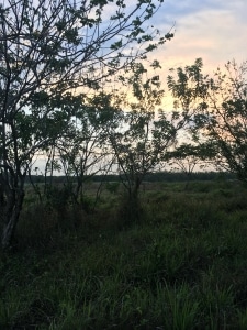 The sun sets on a chocolate farm in the Philippines.