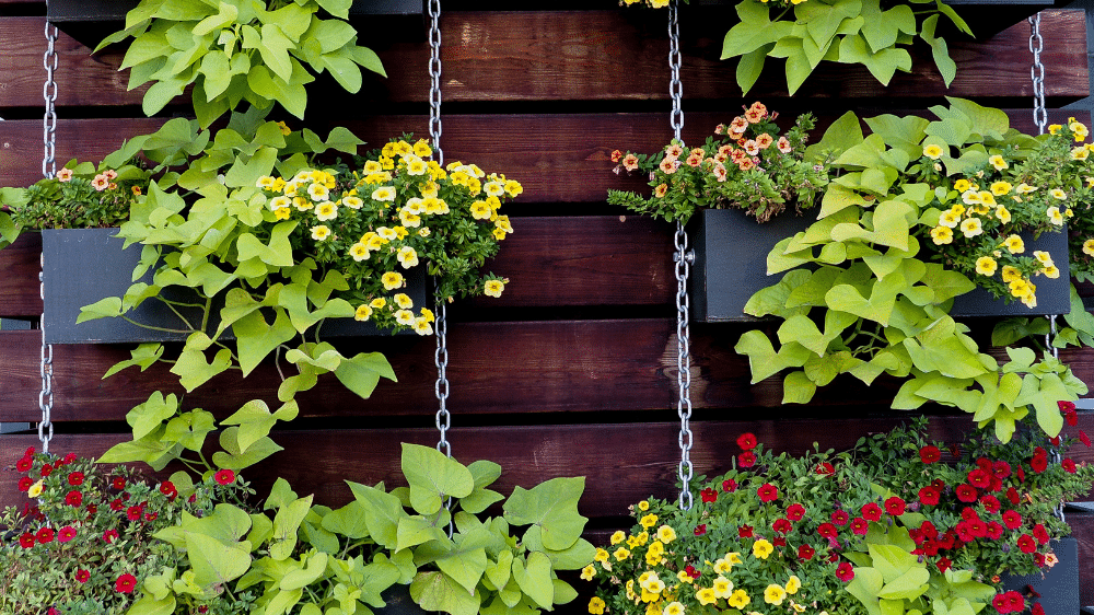 Decorating your patio walls