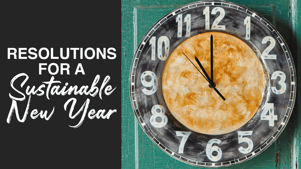 Resolutions For A Sustainable New Year